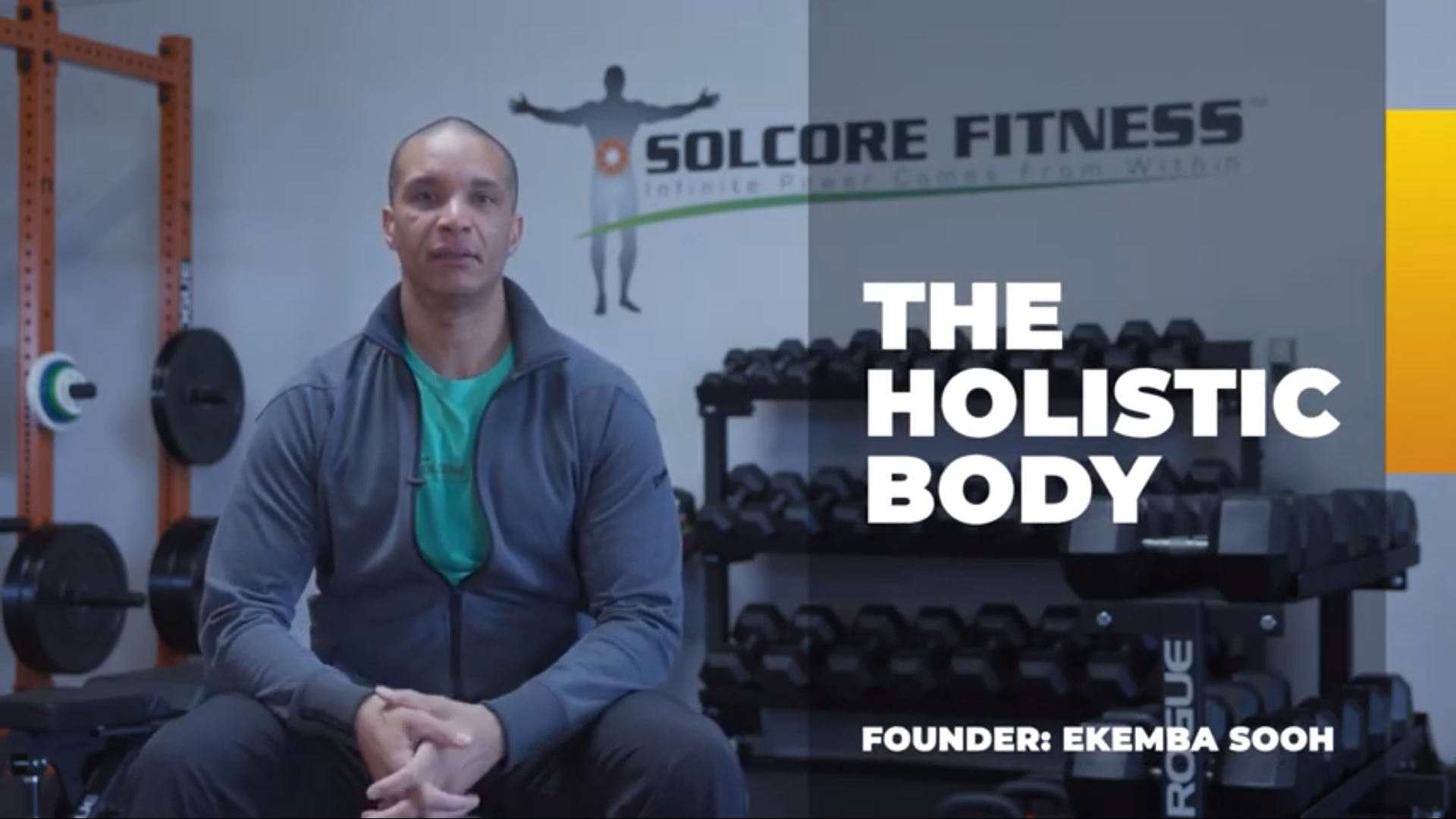 The Holistic Body