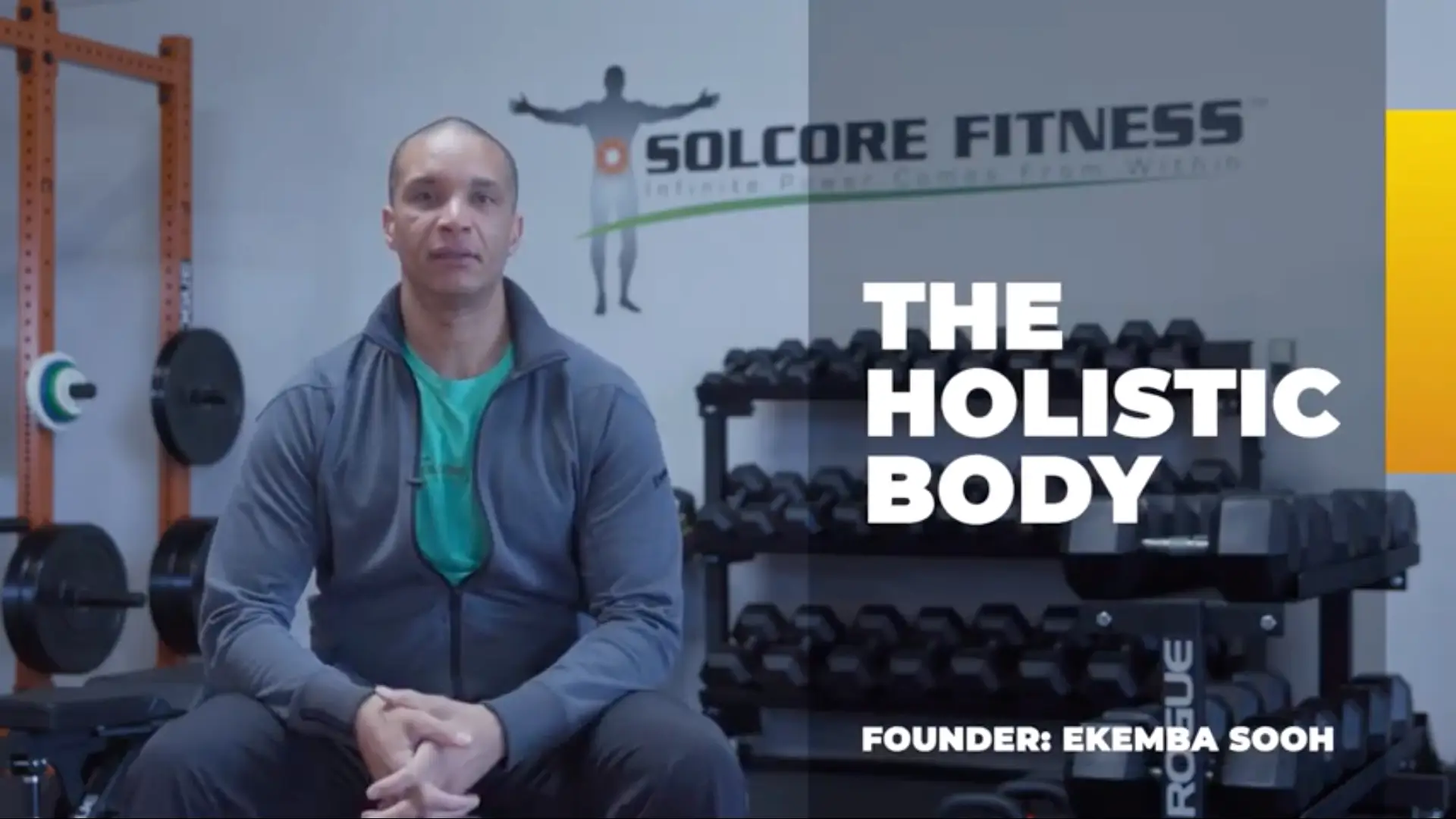 The Holistic Body