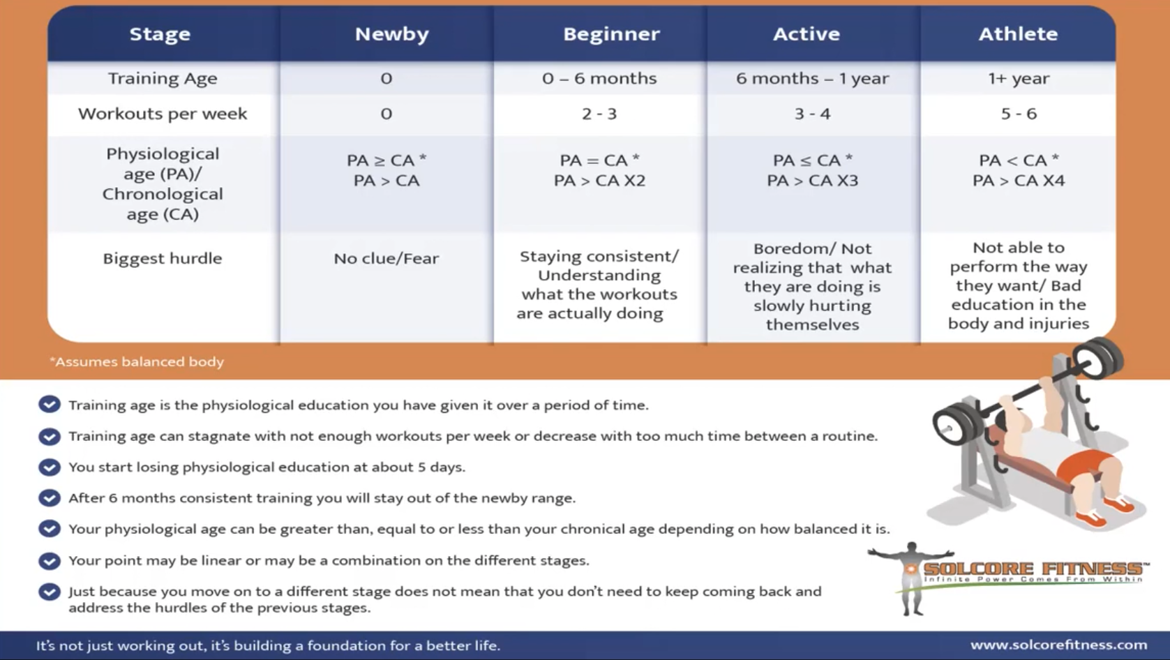 Phases of training