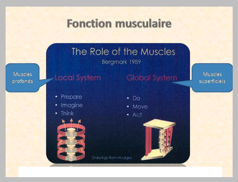 PIT & DAM. Prepare Image & Think. Do Act & Move. Are essential to a holistic exercise and fitness program.