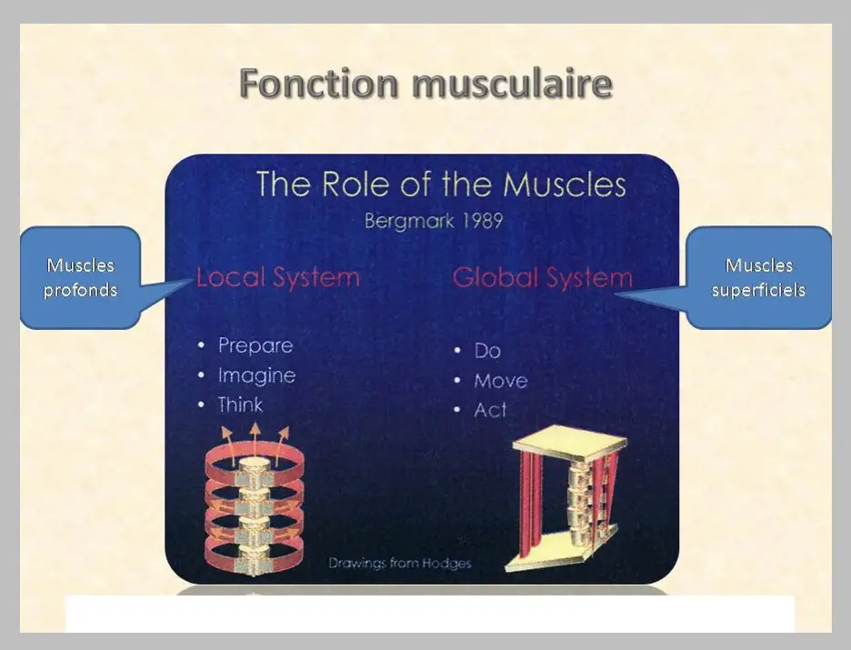 PIT & DAM. Prepare Image & Think. Do Act & Move. Are essential to a holistic exercise and fitness program.