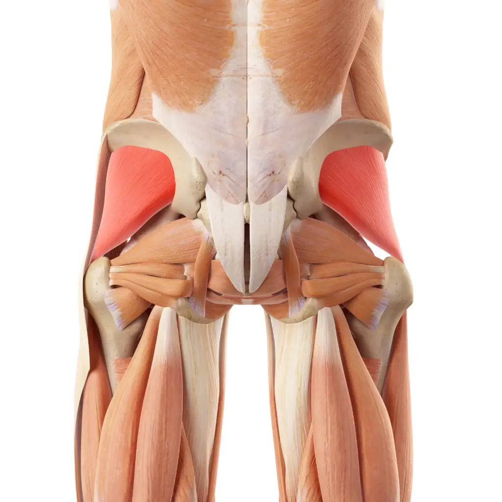 Global Postural Stretching
