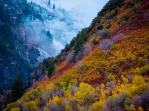 Consistency in health and fitness through changing seasons