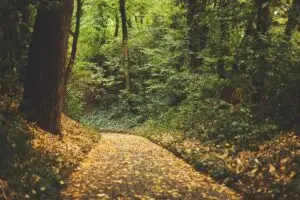 Solcore therapy and fitness