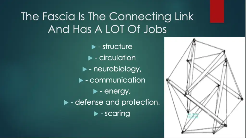 Fascia "normalizing" massage.