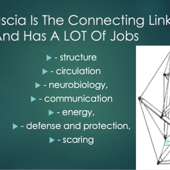 Fascia training concept for fascia training