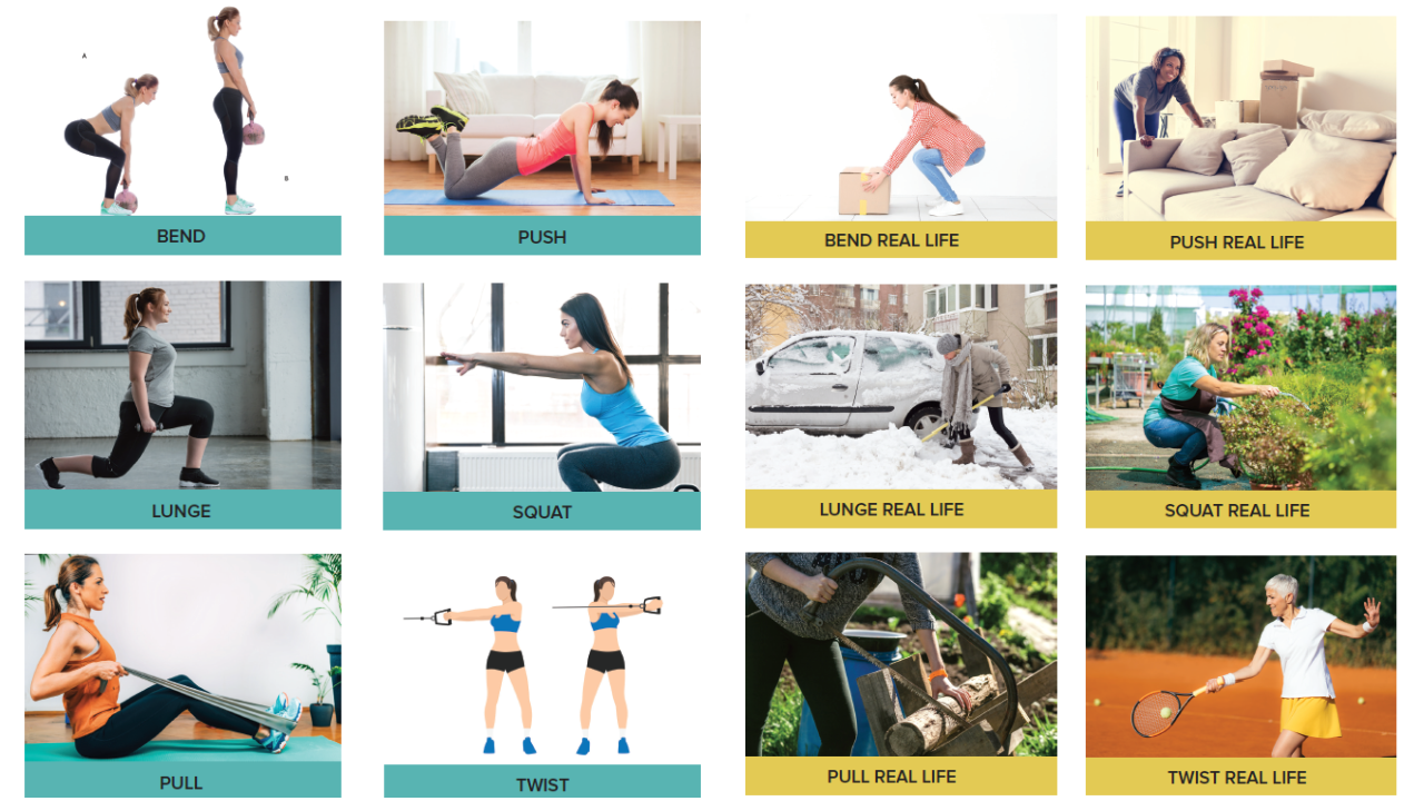 Primal Movement exercises