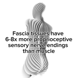 Stylized fascia-inspired human figure with overlaid text explaining fascia has 6–8x more proprioceptive nerve endings than muscle — reinforcing the connection between strength and proprioception