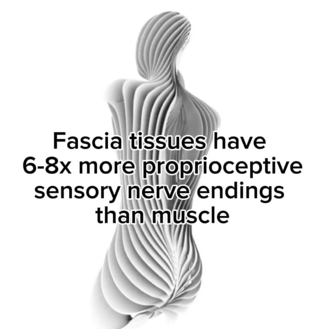 Stylized fascia-inspired human figure with overlaid text explaining fascia has 6–8x more proprioceptive nerve endings than muscle — reinforcing the connection between strength and proprioception